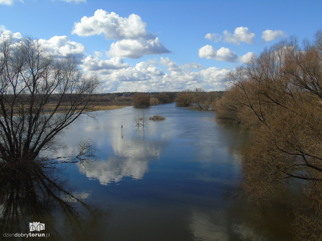 Toruń: Drwęca wylała w Złotorii/Kaszczorku