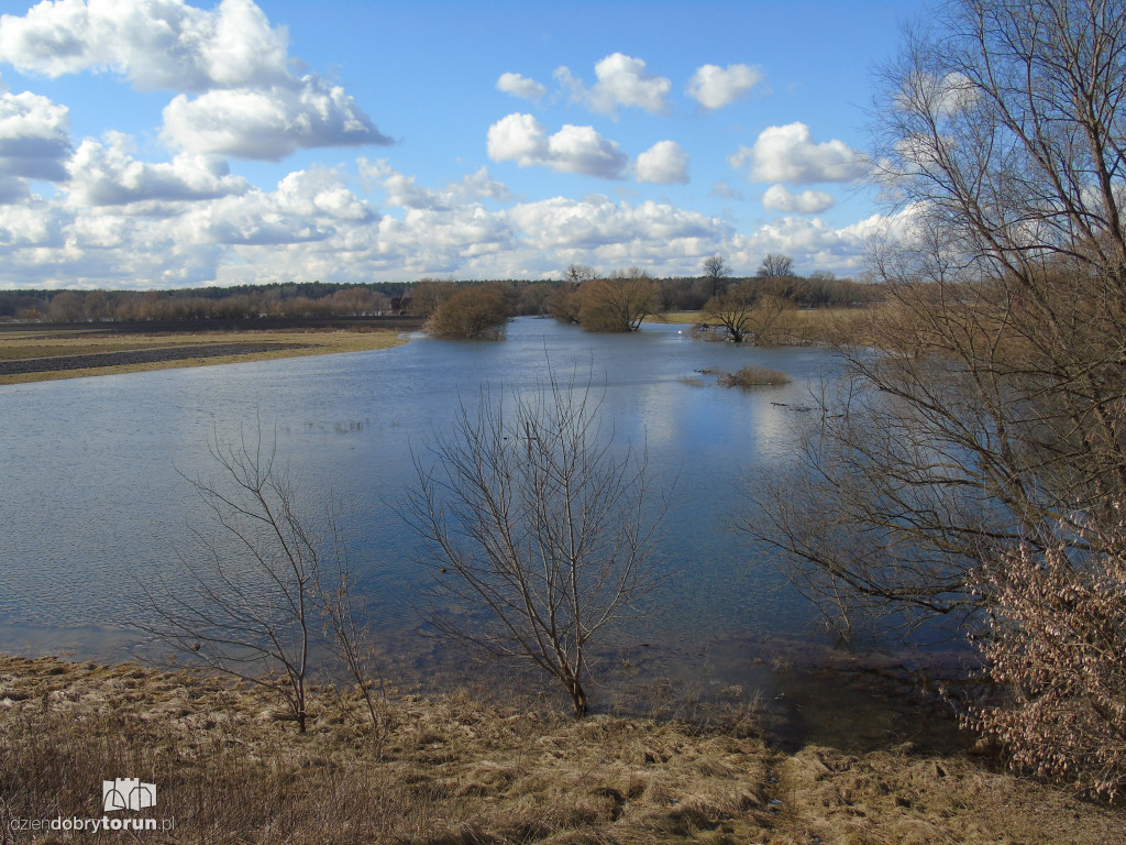 Toruń: Drwęca wylała w Złotorii/Kaszczorku