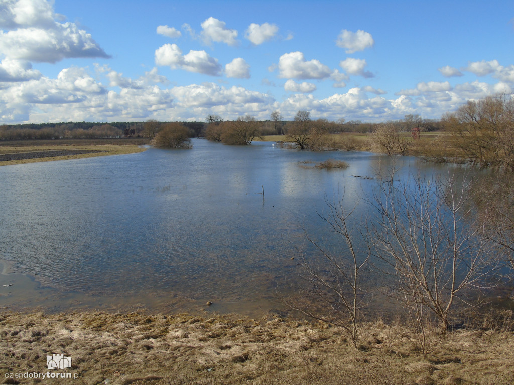 Toruń: Drwęca wylała w Złotorii/Kaszczorku