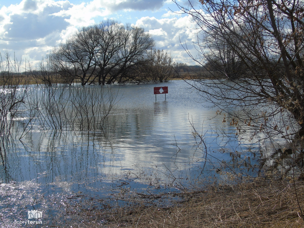 Toruń: Drwęca wylała w Złotorii/Kaszczorku