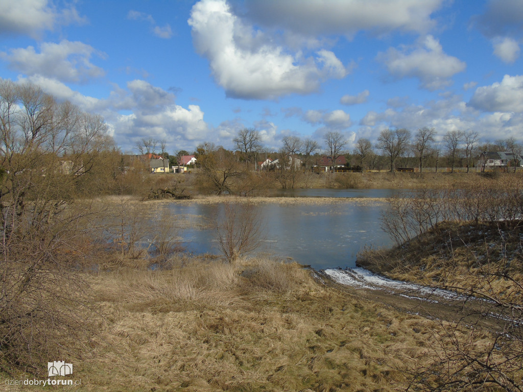 Toruń: Drwęca wylała w Złotorii/Kaszczorku