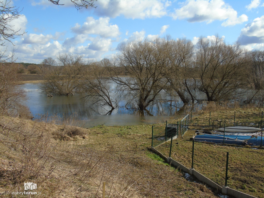 Toruń: Drwęca wylała w Złotorii/Kaszczorku
