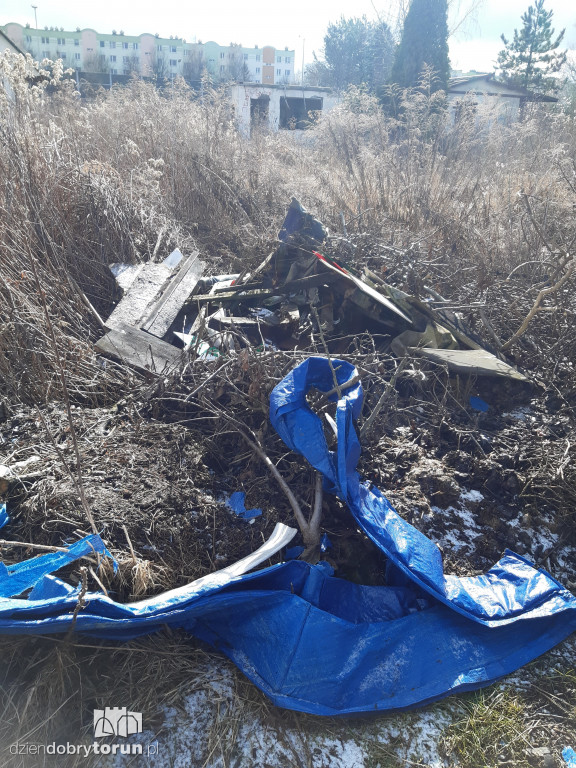 Toruń: śmieci w pobliżu działek przy Wiązowej
