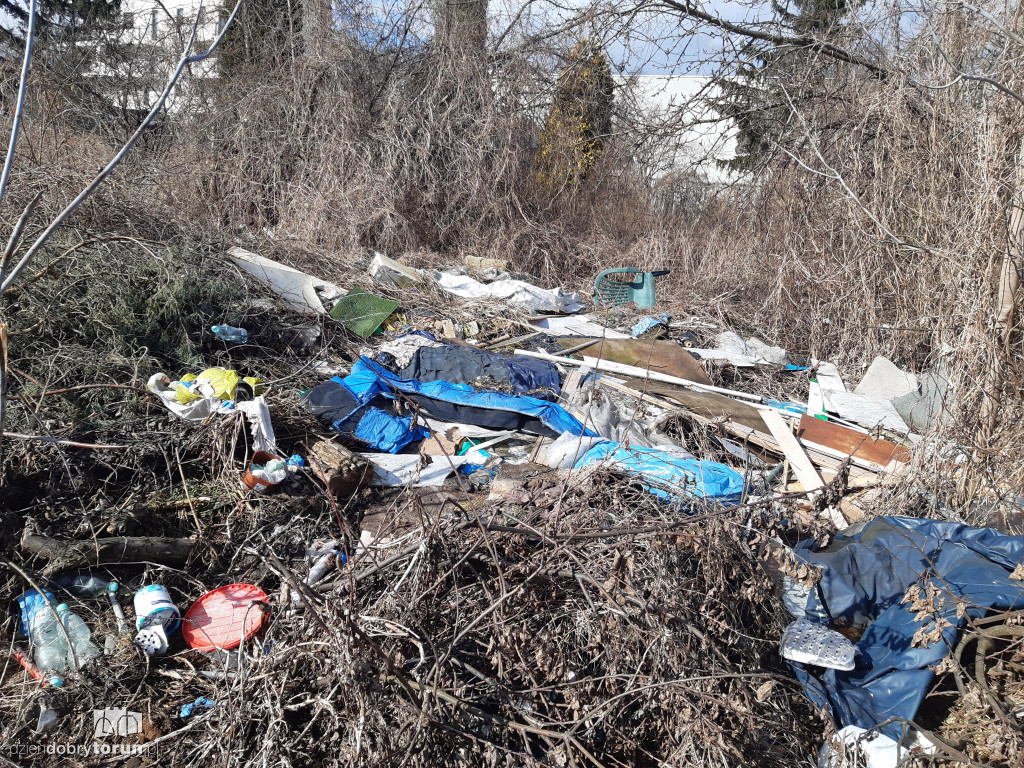 Toruń: śmieci w pobliżu działek przy Wiązowej