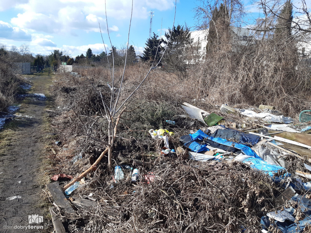 Toruń: śmieci w pobliżu działek przy Wiązowej