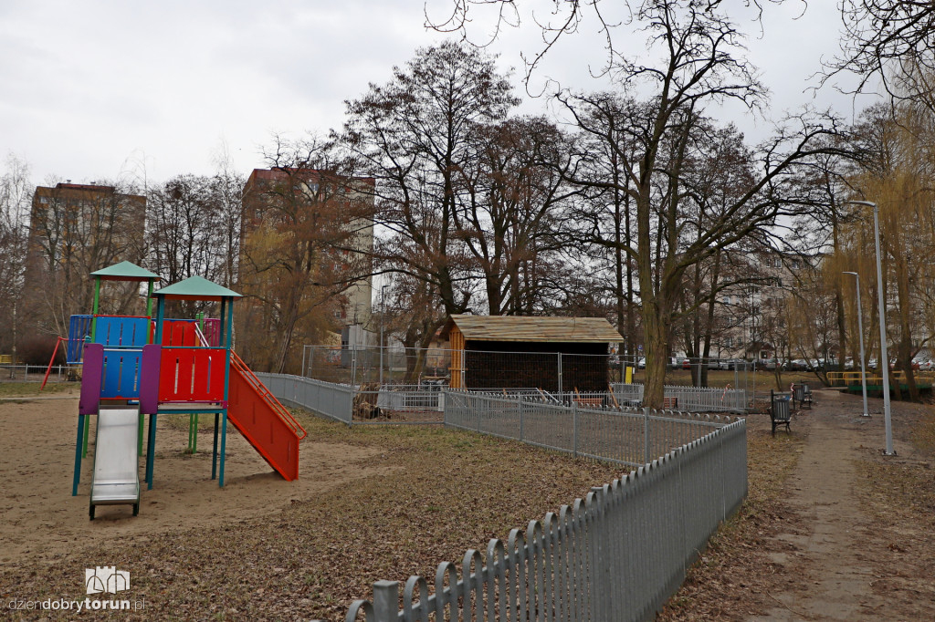 W centrum Torunia powstaje tężnia solankowa