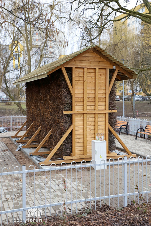 W centrum Torunia powstaje tężnia solankowa