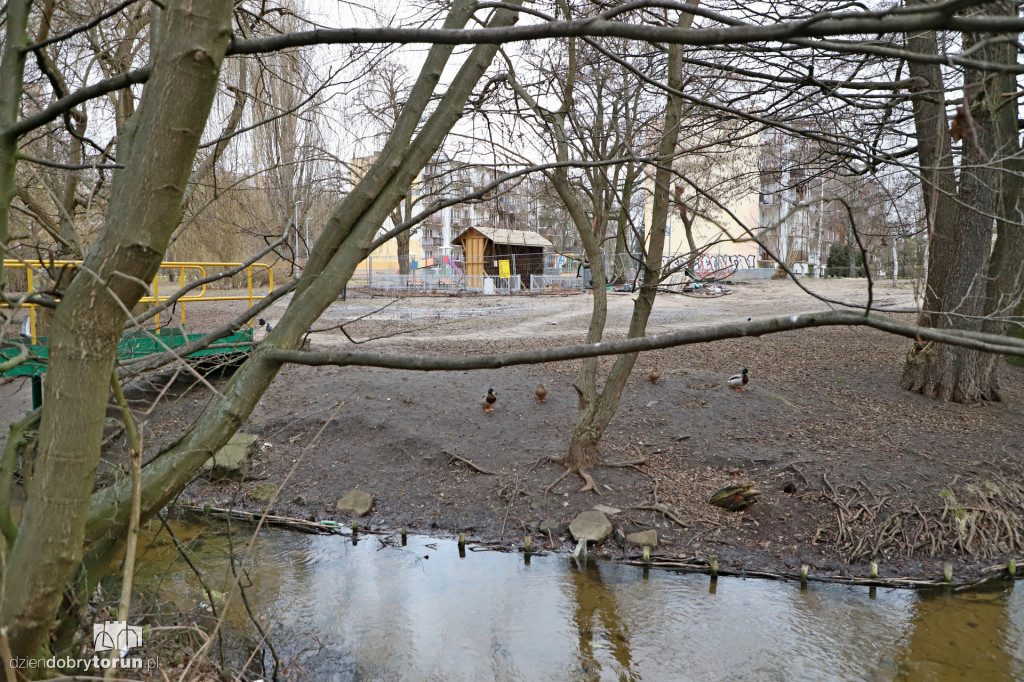 W centrum Torunia powstaje tężnia solankowa