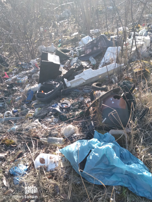 Toruń: zalegające składowisko śmieci