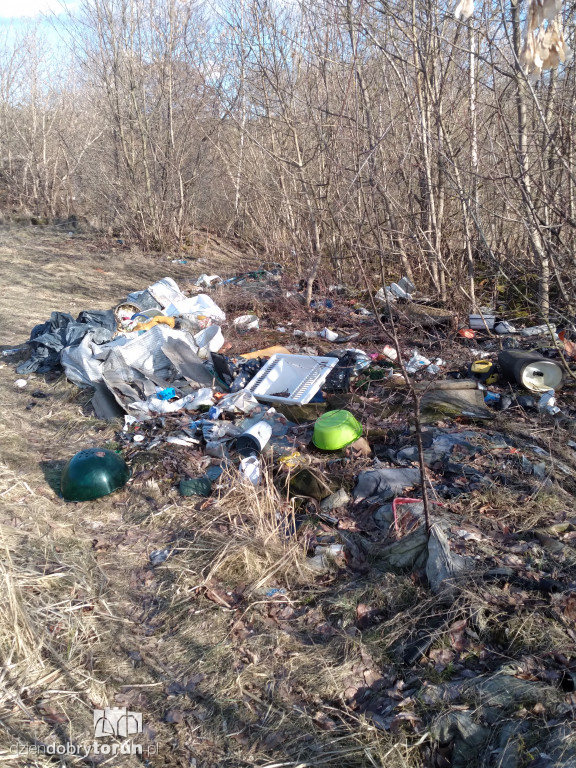Toruń: zalegające składowisko śmieci