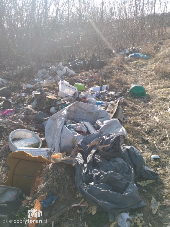Toruń: zalegające składowisko śmieci