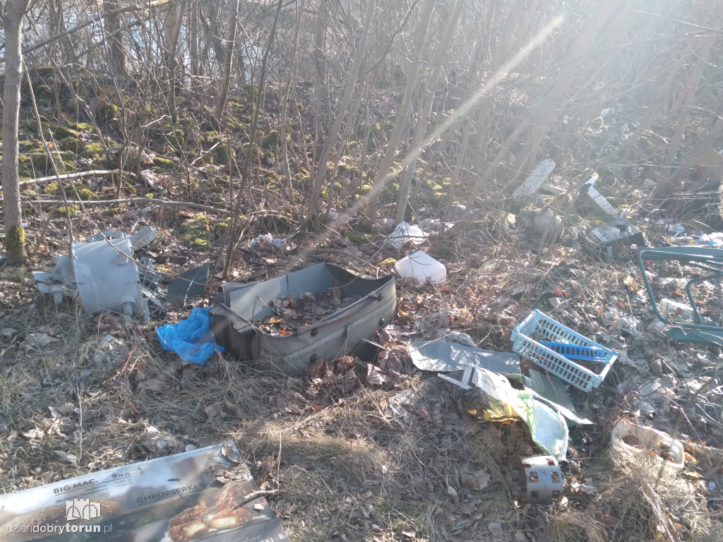 Toruń: zalegające składowisko śmieci