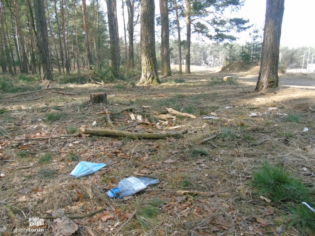 Toruń: zaśmiecone tereny przy szpitalu dziecięcym