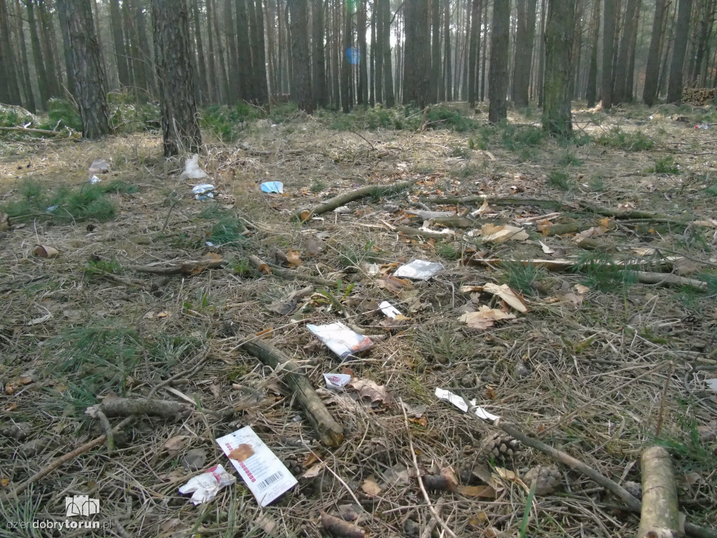 Toruń: zaśmiecone tereny przy szpitalu dziecięcym