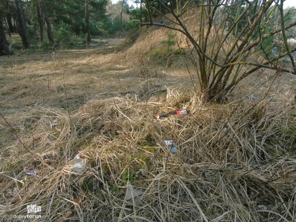 Toruń: zaśmiecone tereny przy szpitalu dziecięcym