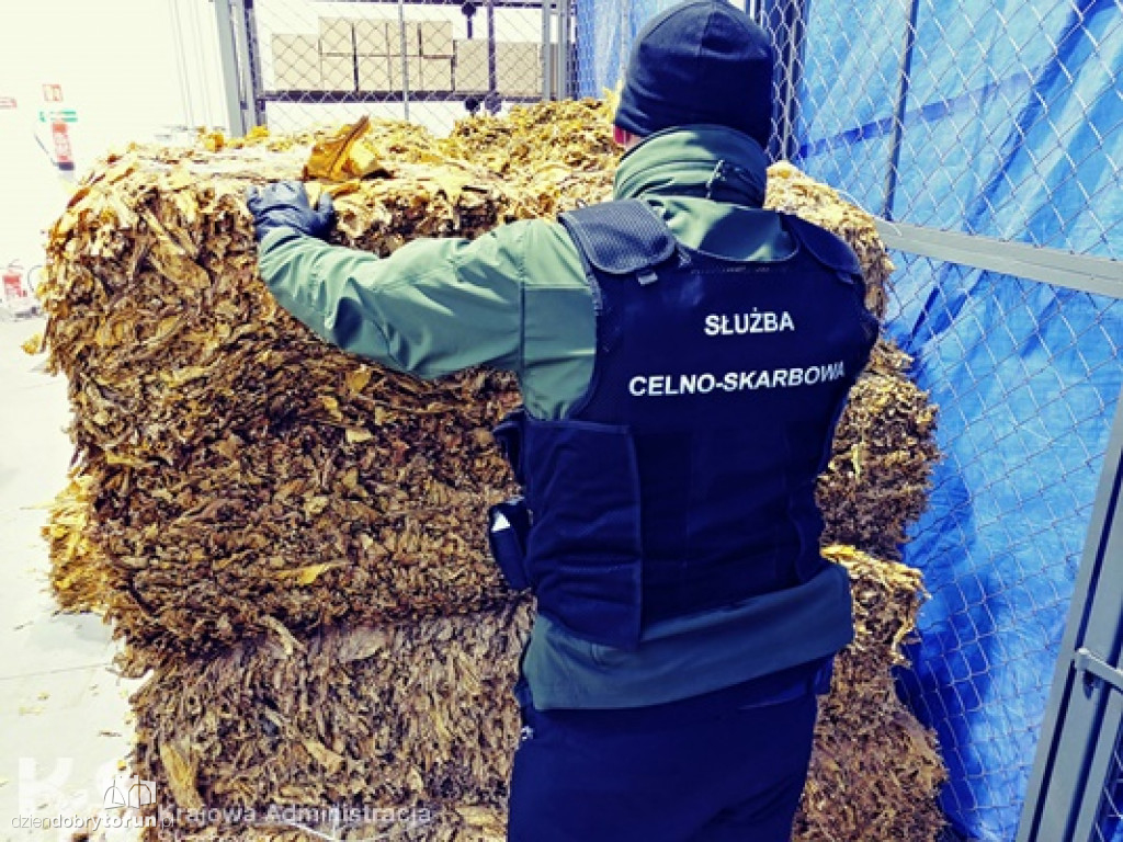Akcja KAS w Obrowie pod Toruniem