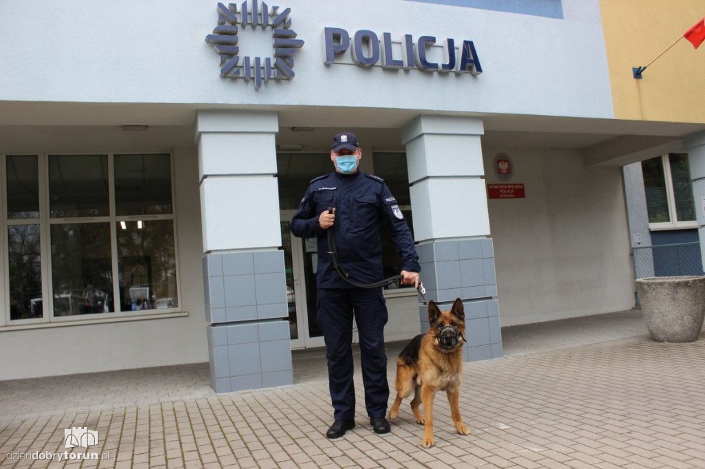 Toruń: 