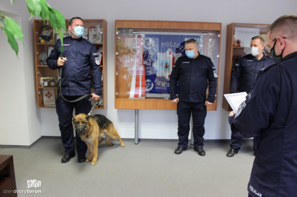 Toruń: 