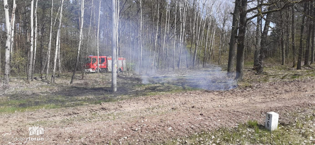 Toruń: wiatrakowiec spadł na tory