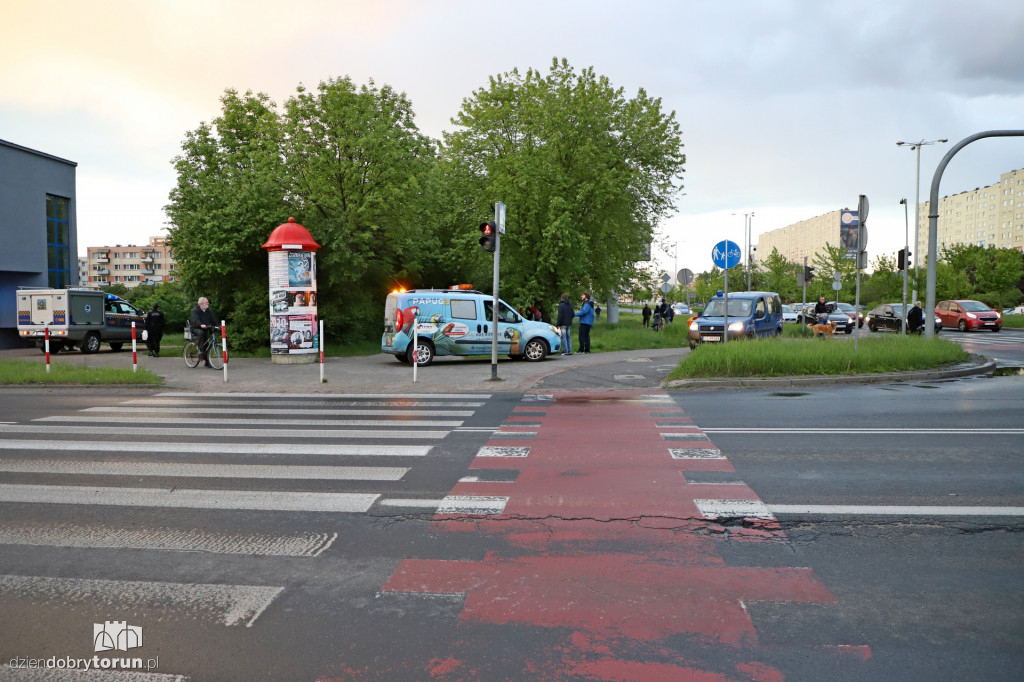 Toruń: spacer dzików przez Rubinkowo II
