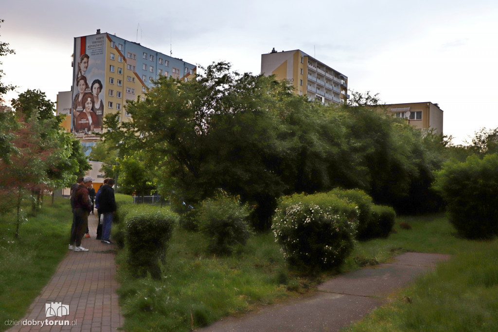 Toruń: spacer dzików przez Rubinkowo II