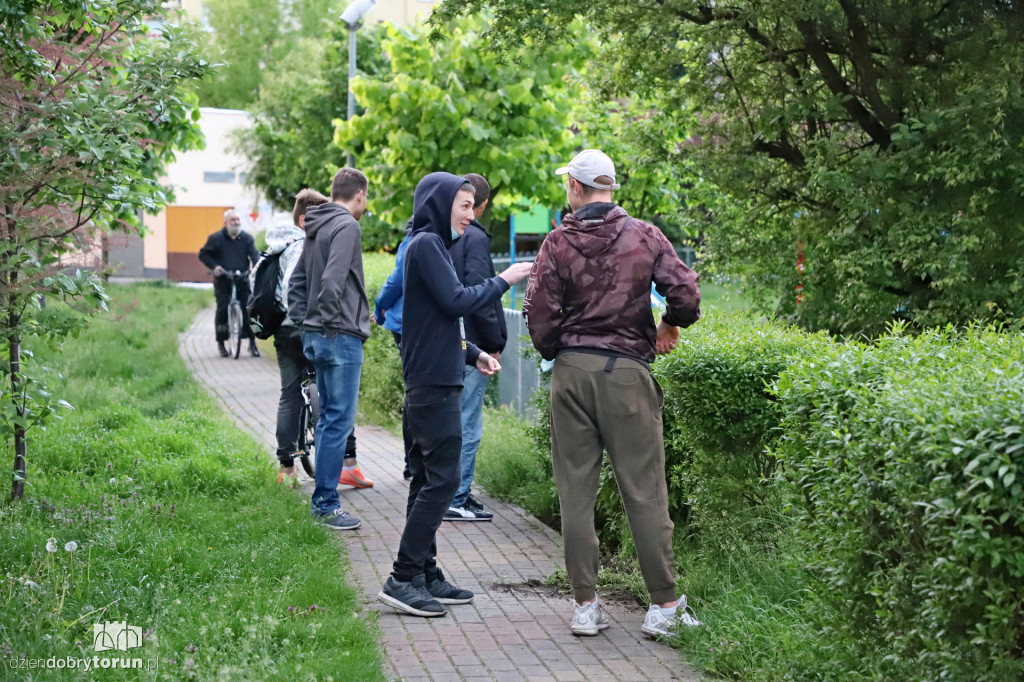 Toruń: spacer dzików przez Rubinkowo II