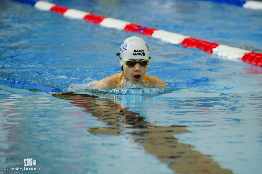 Toruń: zawody pływackie Otylia Swim Cup