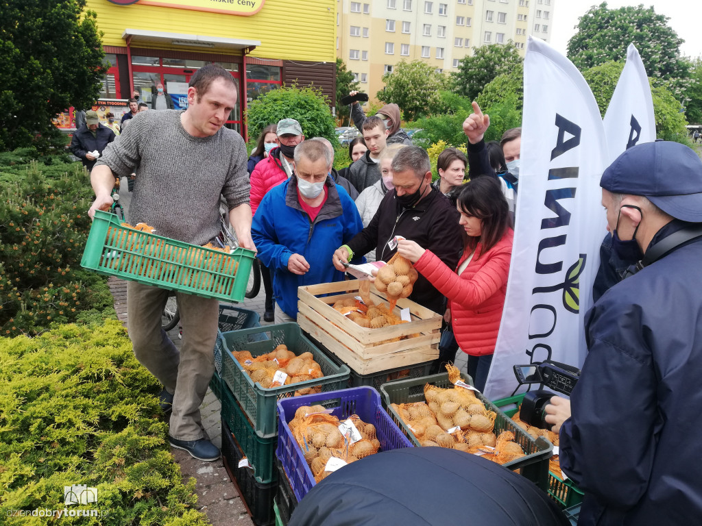 Protest rolników z Agrounii w Toruniu