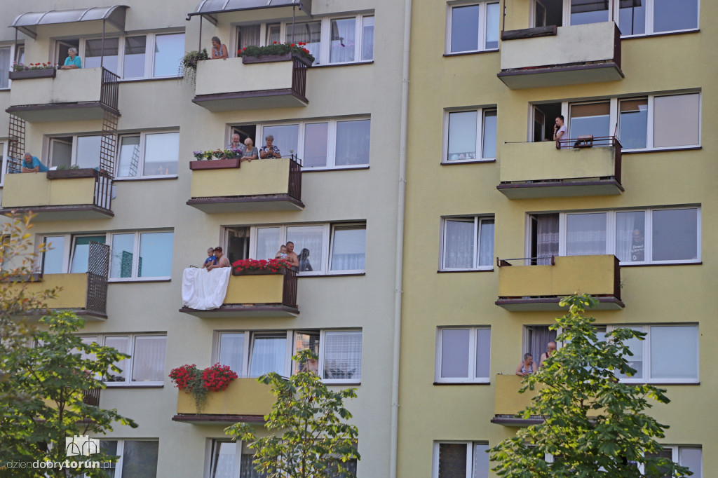 Dziki na Rubinkowie w Toruniu