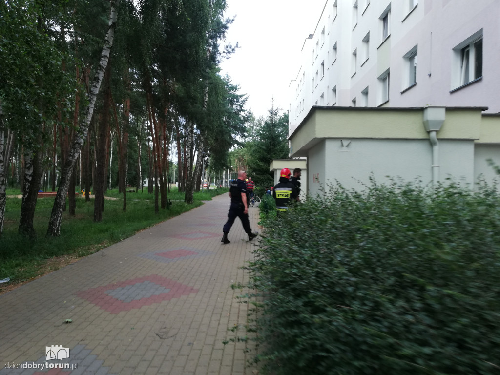 Toruń: interwencja policji i straży przy Teligi 4