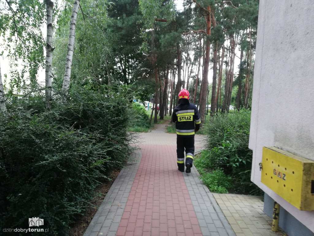 Toruń: interwencja policji i straży przy Teligi 4