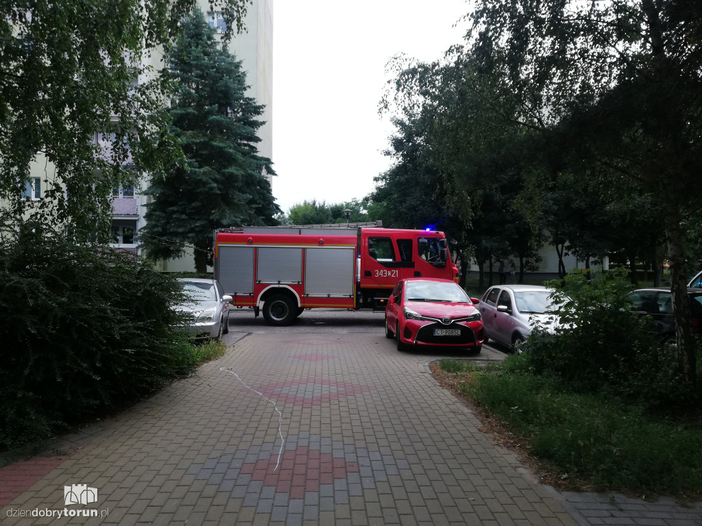 Toruń: interwencja policji i straży przy Teligi 4