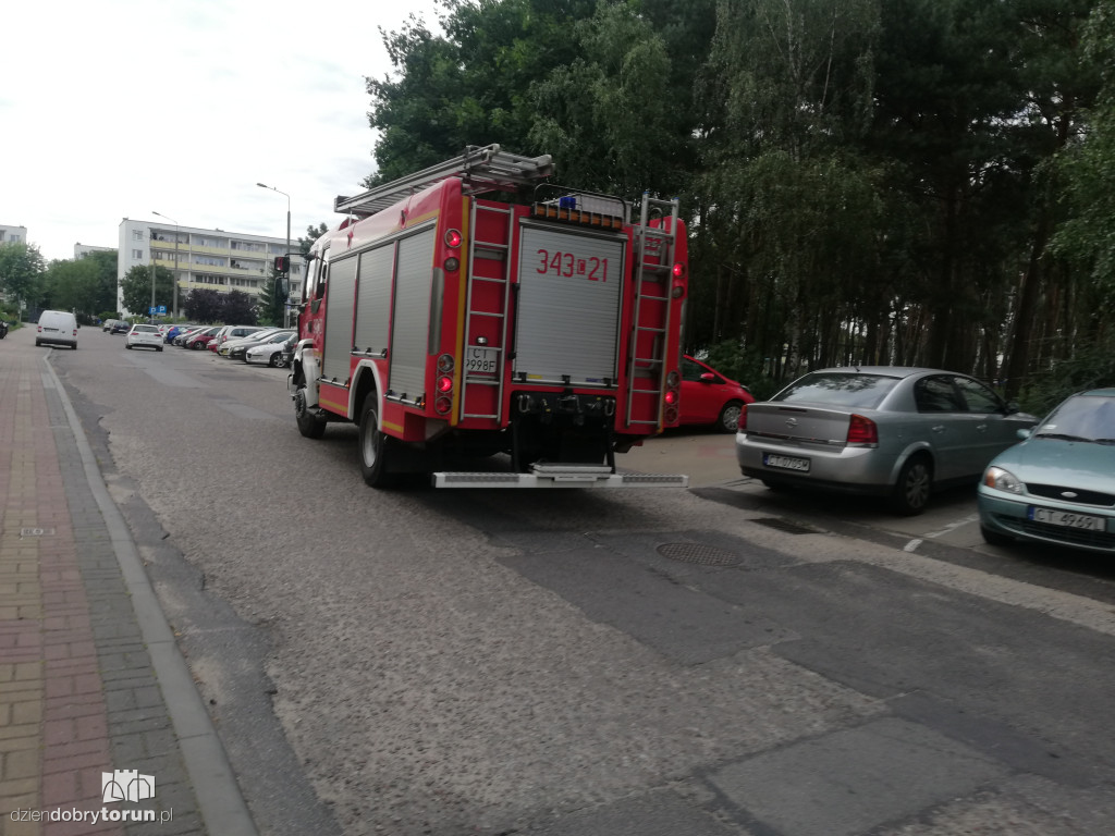 Toruń: interwencja policji i straży przy Teligi 4