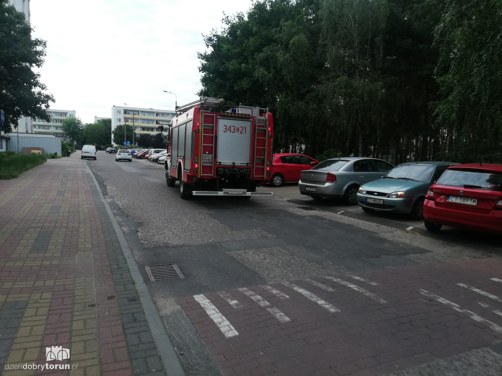 Toruń: interwencja policji i straży przy Teligi 4