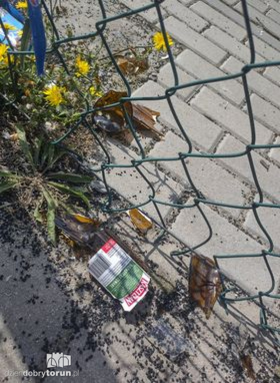 Zniszczony plac zabaw przy Olsztyńskiej