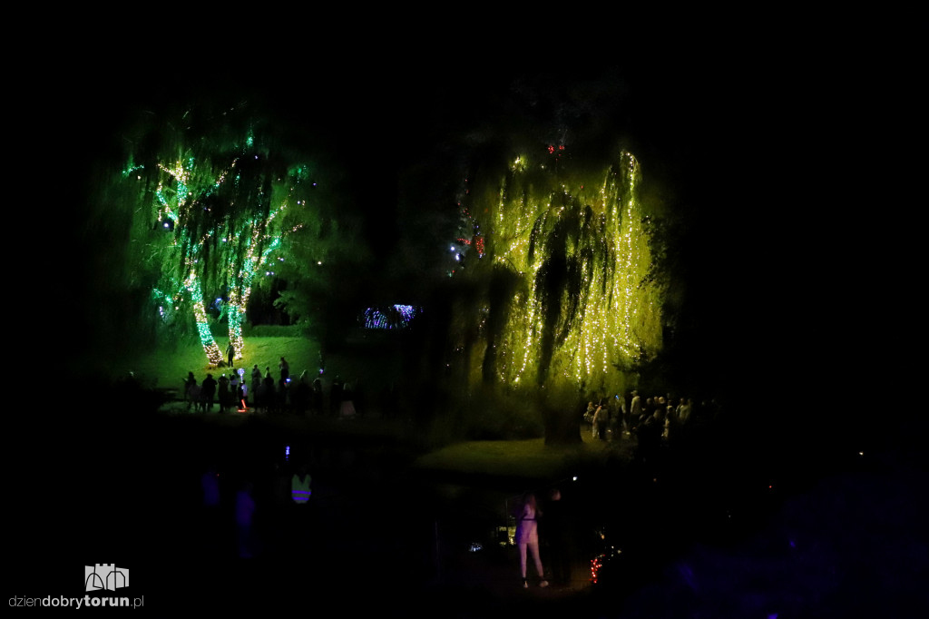 Toruń: Bella Skyway Festiwal - dzień 1