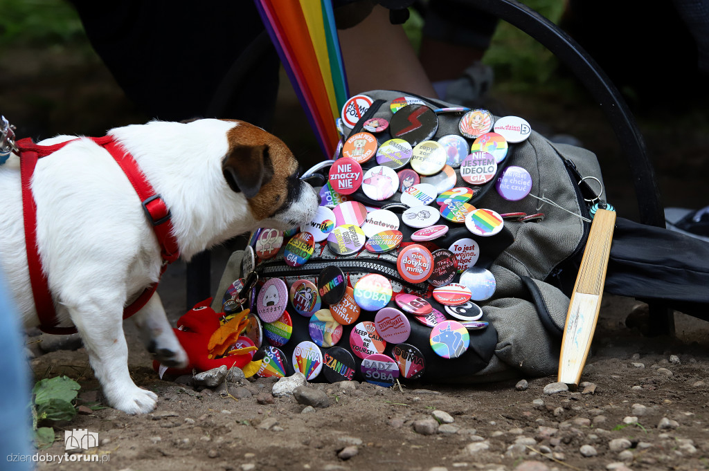 Tęczowy piknik Marszu Równości w Toruniu