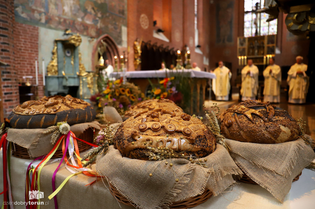 Uroczysta msza św. dożynkowa