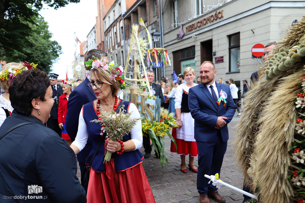 Przemarsz korowodu dożynkowego