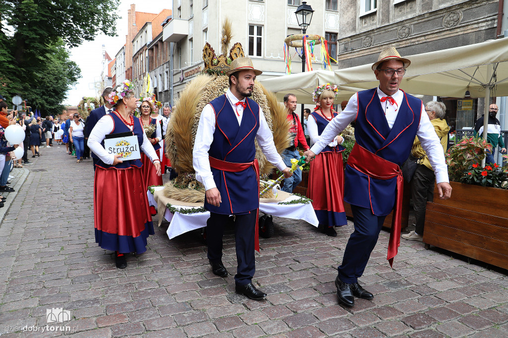 Przemarsz korowodu dożynkowego