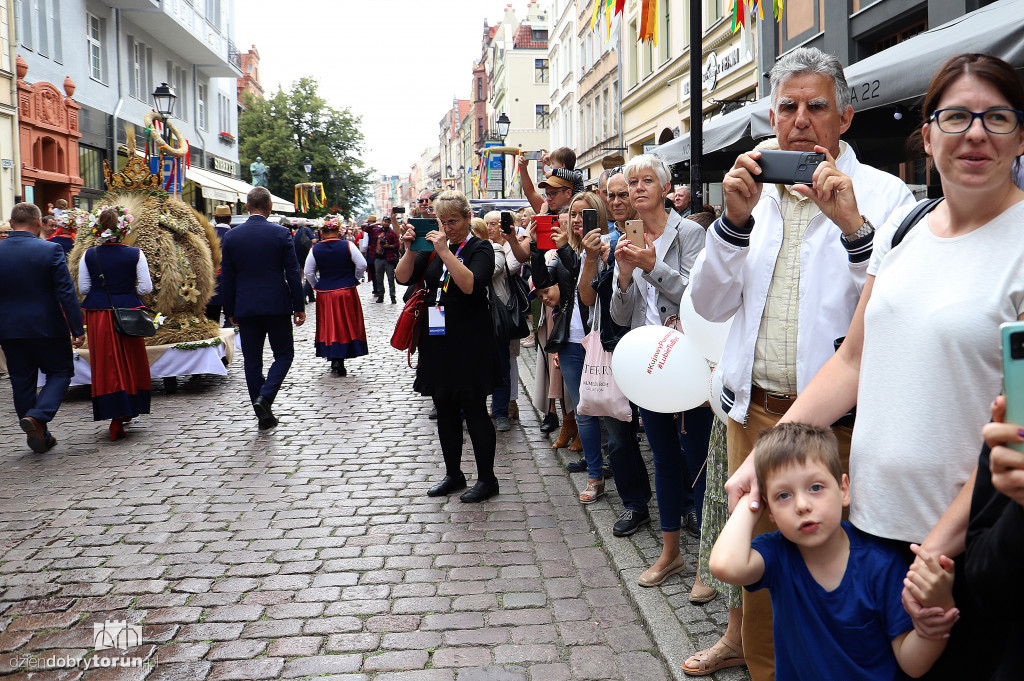 Przemarsz korowodu dożynkowego