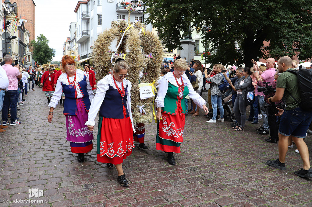 Przemarsz korowodu dożynkowego