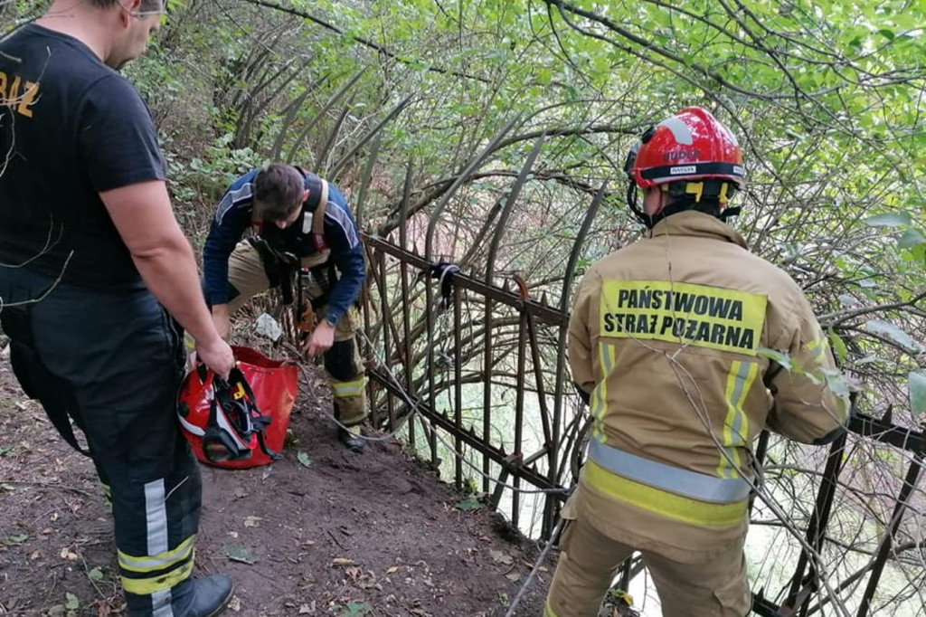 Toruń: akcja strażaków przy Polnej