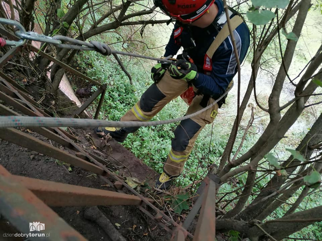 Toruń: akcja strażaków przy Polnej