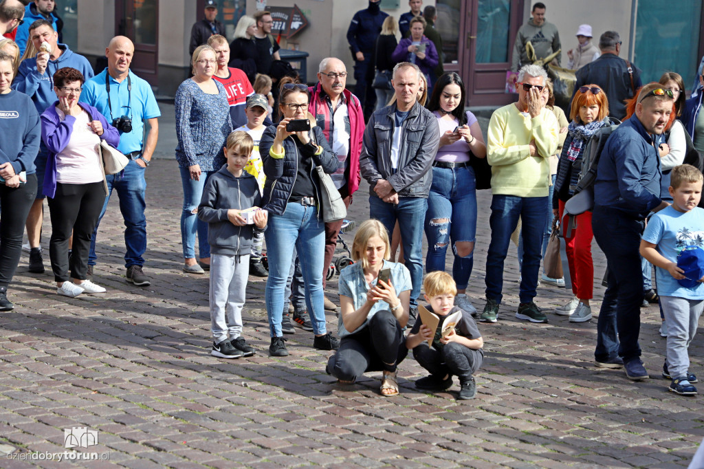 Toruń: Cnoty Czarnka - Protest