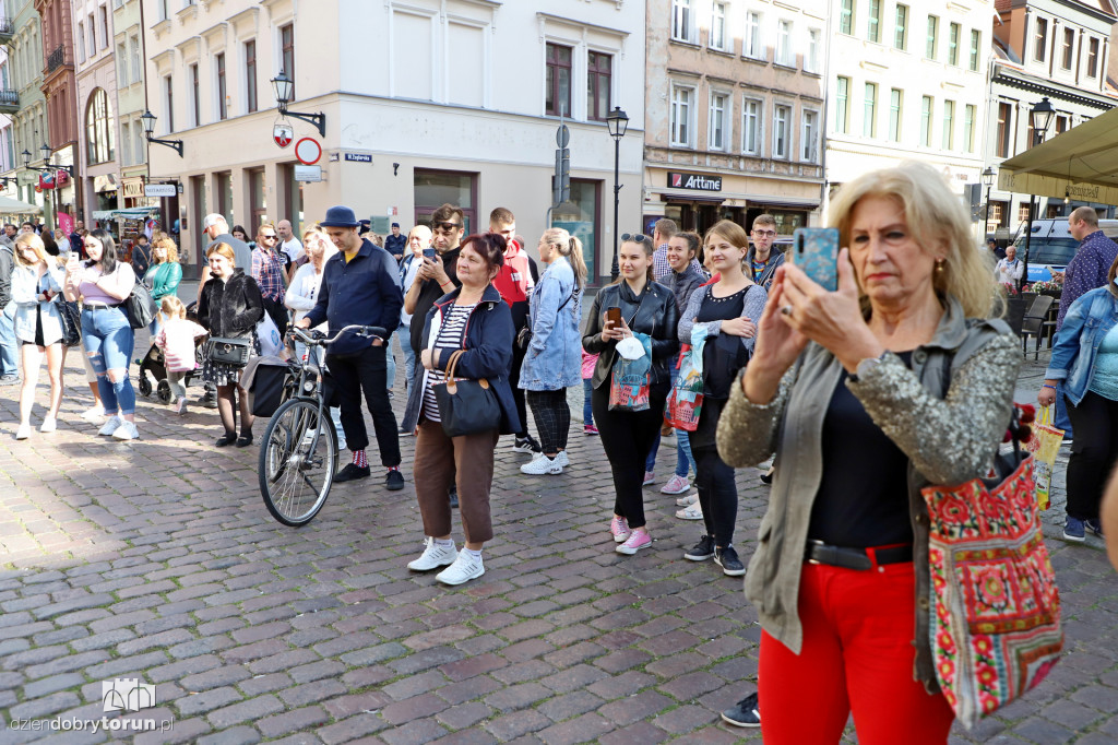 Toruń: Cnoty Czarnka - Protest