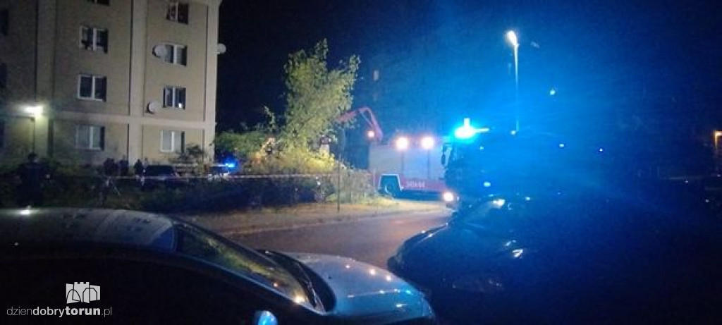 Toruń: przewrócone drzewo przy Reymonta