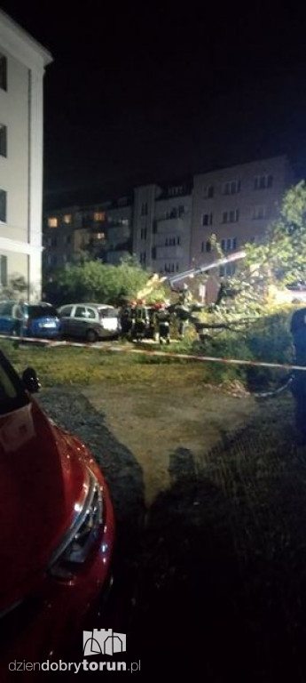 Toruń: przewrócone drzewo przy Reymonta