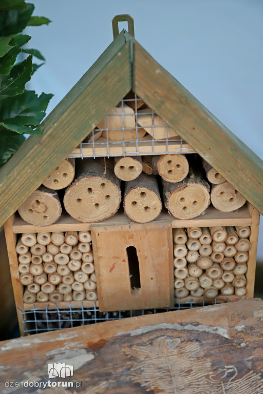 Piknik Sprzątanie Świata na Rynku Nowomiejskim