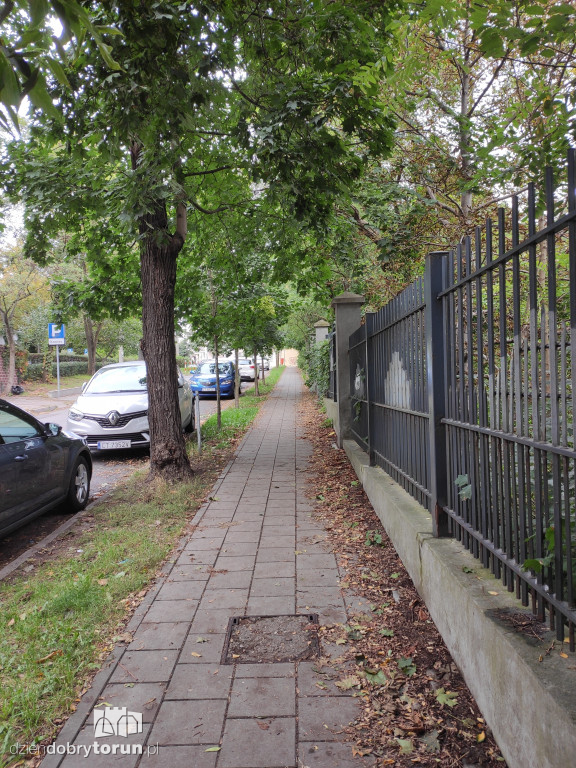 Toruń: zarośnięty teren przy ogrodzie